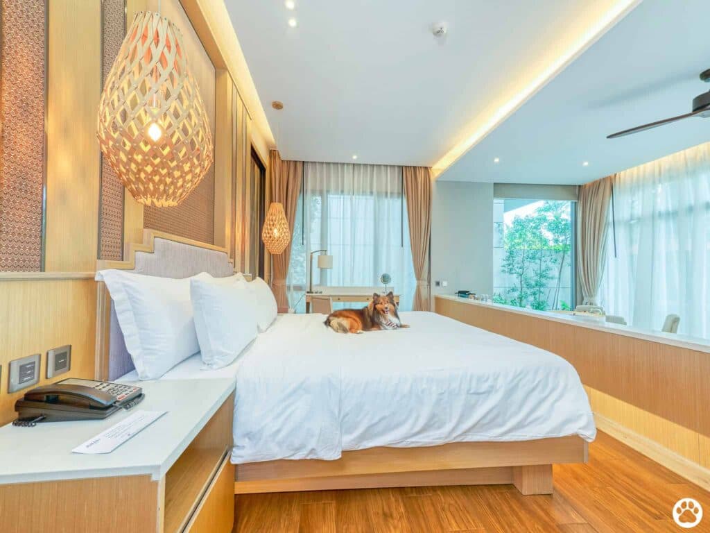 Avani+ Hua Hin สุนัขพักได้ กับ 16 ข้อดี Pet Friendly ดีที่สุดแห่งหนึ่งในไทย (รีสอร์ท 5 ดาว) 80 Avani+ Hua Hin สุนัขพักได้ กับ 16 ข้อดี Pet Friendly ดีที่สุดแห่งหนึ่งในไทย (รีสอร์ท 5 ดาว) 79