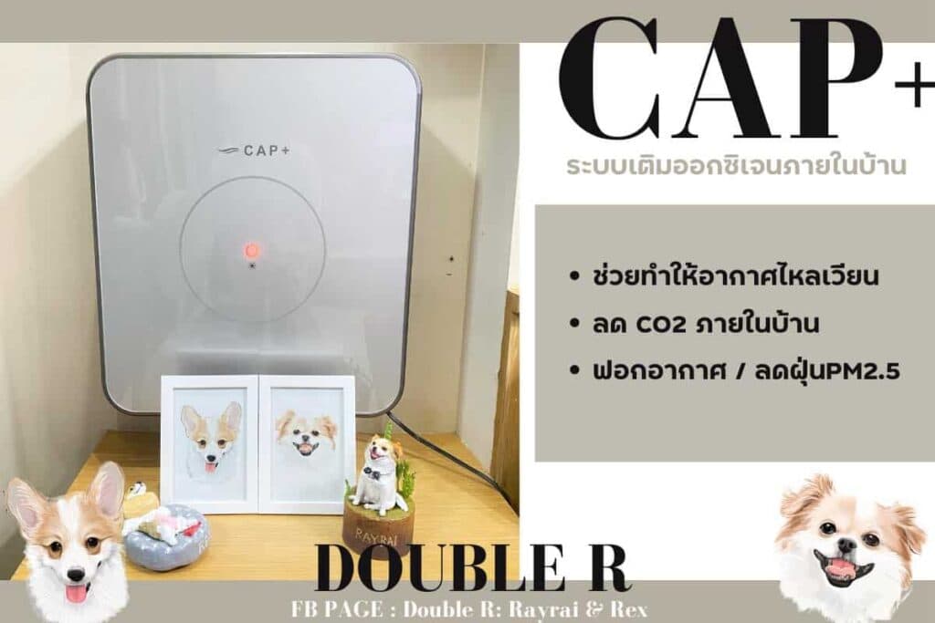 รีวิว CAP+ ระบบเติมออกซิเจน ล็อกบ้านปิดหน้าต่าง หมาก็ยังอยู่สบายอากาศถ่ายเท 1 ระบบเติมออกซิเจน เติมอากาศให้บ้าน CAP+ Thailand