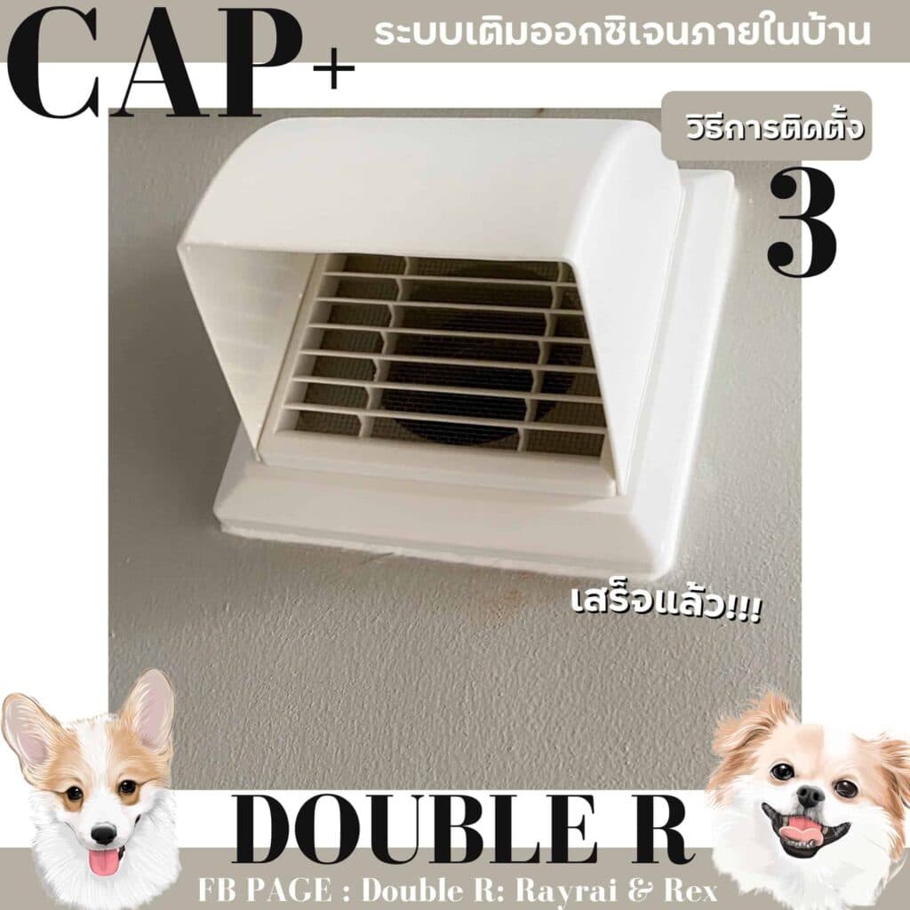 รีวิว CAP+ ระบบเติมออกซิเจน ล็อกบ้านปิดหน้าต่าง หมาก็ยังอยู่สบายอากาศถ่ายเท 5 รีวิว CAP+ ระบบเติมออกซิเจน ล็อกบ้านปิดหน้าต่าง หมาก็ยังอยู่สบายอากาศถ่ายเท 4