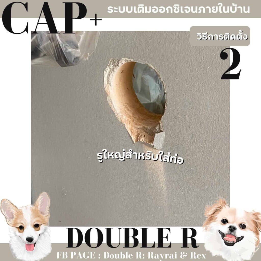รีวิว CAP+ ระบบเติมออกซิเจน ล็อกบ้านปิดหน้าต่าง หมาก็ยังอยู่สบายอากาศถ่ายเท 6 รีวิว CAP+ ระบบเติมออกซิเจน ล็อกบ้านปิดหน้าต่าง หมาก็ยังอยู่สบายอากาศถ่ายเท 5