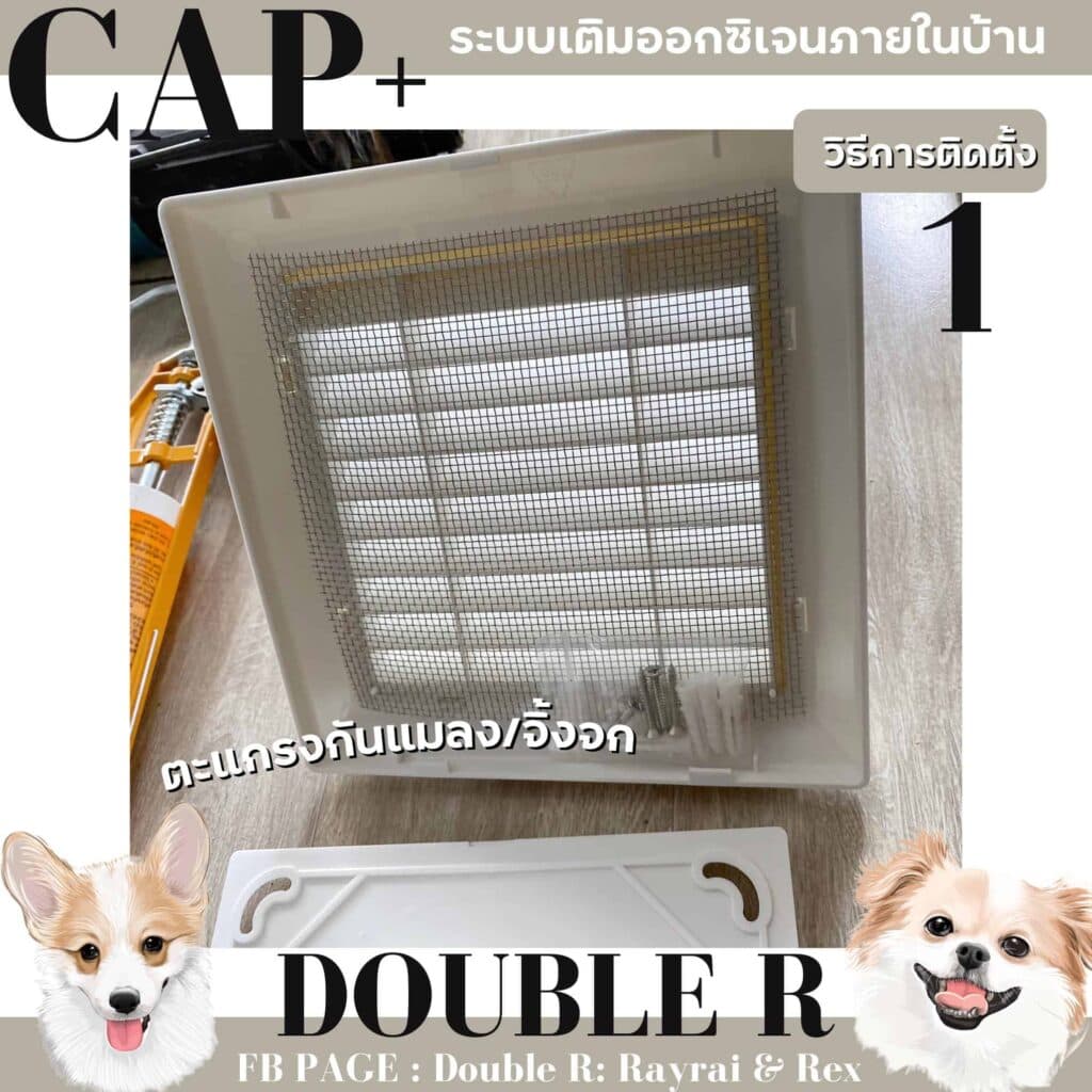 รีวิว CAP+ ระบบเติมออกซิเจน ล็อกบ้านปิดหน้าต่าง หมาก็ยังอยู่สบายอากาศถ่ายเท 7 รีวิว CAP+ ระบบเติมออกซิเจน ล็อกบ้านปิดหน้าต่าง หมาก็ยังอยู่สบายอากาศถ่ายเท 6