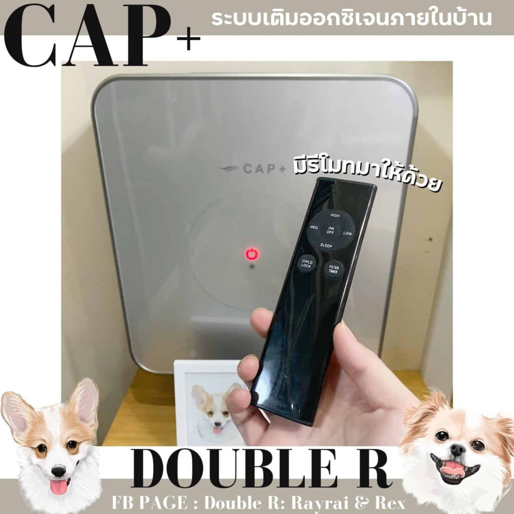 รีวิว CAP+ ระบบเติมออกซิเจน ล็อกบ้านปิดหน้าต่าง หมาก็ยังอยู่สบายอากาศถ่ายเท 3 รีวิว CAP+ ระบบเติมออกซิเจน ล็อกบ้านปิดหน้าต่าง หมาก็ยังอยู่สบายอากาศถ่ายเท 2