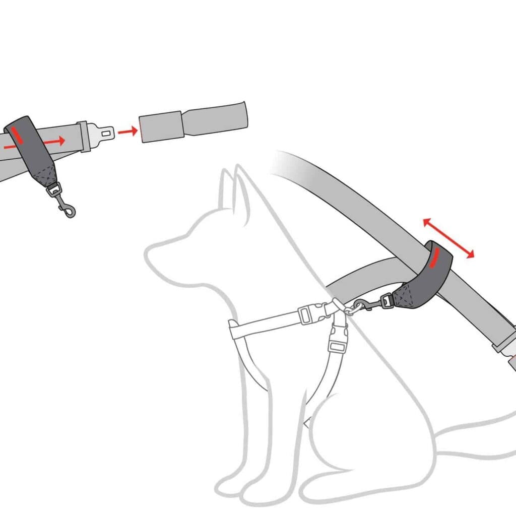 รีวิว Ezy Dog สาย Safety Belt ของนุ้งหมา 1 รีวิว Ezy Dog สาย Safety Belt ของนุ้งหมา 1