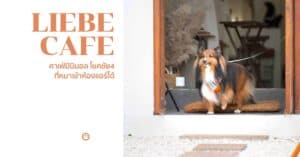 Home 2