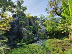 Rainforest Café (กาญจนบุรี) 2