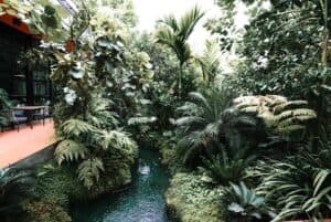 Rainforest Café (กาญจนบุรี) 4