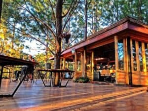 Cedar ป่าสน Cafe (เขาค้อ) 2