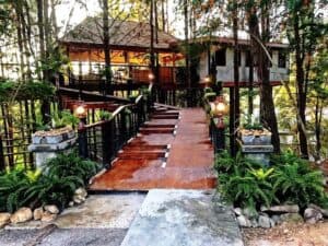 Cedar ป่าสน Cafe (เขาค้อ) 5