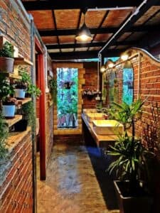 Cedar ป่าสน Cafe (เขาค้อ) 7