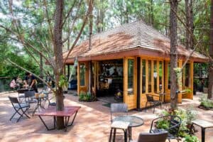 Cedar ป่าสน Cafe (เขาค้อ) 9