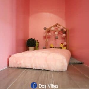 Dog Vibes 1