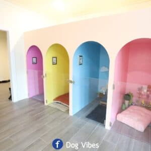 Dog Vibes 2