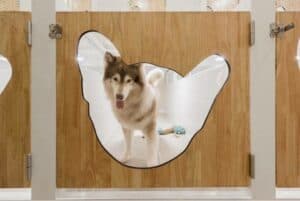 Dog House (ชัยพฤกษ์) 5
