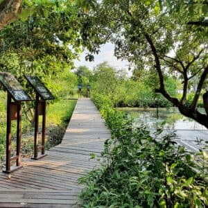 Hinghoy Harmony (นนทบุรี) 2