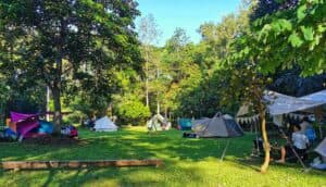 Campfire Cafe Khao Yai (เขาใหญ่) 6