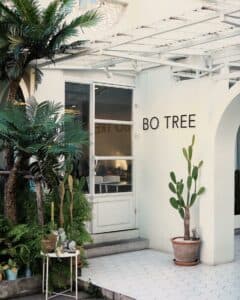 BO TREE (เสนานิคม) 7