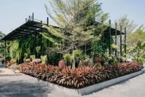 Jamie Café (สวนพริกไทย) 4