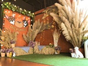 Dog Runway (ตลิ่งชัน) 4