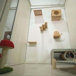 โรงแรมแมวรามอินทรา นวมินทร์ สายไหม มีนบุรี (Catnapcity) 2