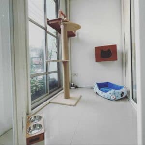 โรงแรมแมวรามอินทรา นวมินทร์ สายไหม มีนบุรี (Catnapcity) 3