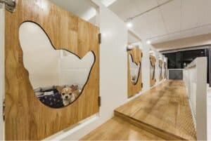 Dog House (ชัยพฤกษ์) 3