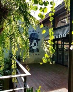 Please Don't Tell Khaoyai (เขาใหญ่) 8