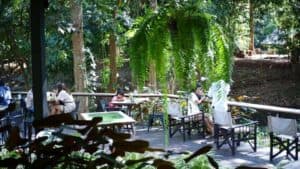 Campfire Cafe Khao Yai (เขาใหญ่) 9