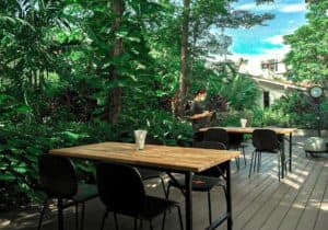 Yellow Lane Cafe (อารีย์) 6