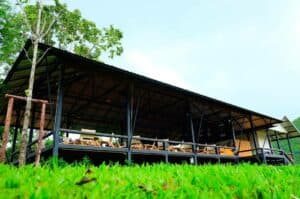 Lakeview Cafe (กาญจนบุรี) 4
