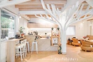 บ้านต้นไม้สีขาว (Baan Ton Mai Sri Khaw) 1