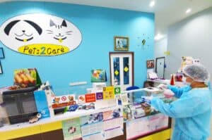 Pets2Care Pets Hospital (เชียงใหม่) 2