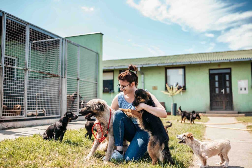 Better Cities For Pets โครงการปรับเมืองให้เอื้อต่อสัตว์เลี้ยงโดย MARS ถึงไทยแล้ว 2 ประเทศแรกใน SEA 3