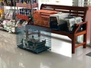 บ้านหมอแค็ปรักษาสัตว์ 2