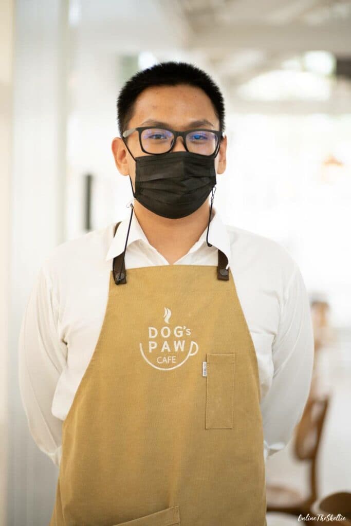 DOGs PAW คอมมูนิตี้หมาแห่งใหม่ที่ดีงาม 12 เหตุผลที่อยากแนะนำให้ทุกท่านมาดูงาน! 13 DOGs PAW คอมมูนิตี้หมาแห่งใหม่ที่ดีงาม 12 เหตุผลที่อยากแนะนำให้ทุกท่านมาดูงาน! 13