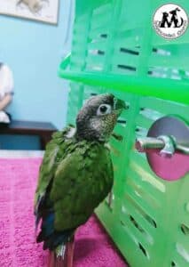 โรงพยาบาลสัตว์เมืองทอง Muangthong Pet Hospital 9