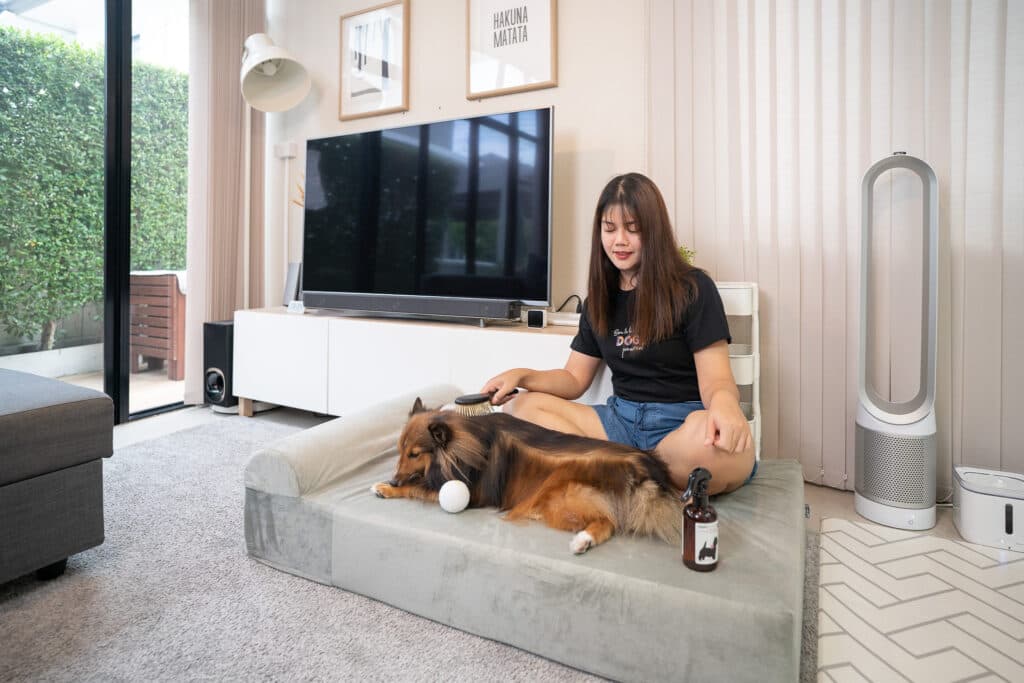 รีวิว Binky Barker ที่นอนเมมโมรี่โฟม เพื่อสุขภาพสุนัข ถนอมข้อต่อและสะโพกน้องหมา 10 รีวิว Binky Barker ที่นอนเมมโมรี่โฟม เพื่อสุขภาพสุนัข ถนอมข้อต่อและสะโพกน้องหมา 9
