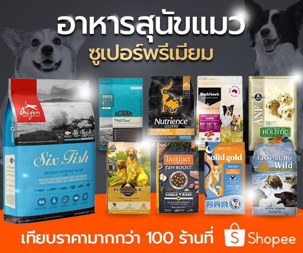 Holistic Dog Food on Shopee