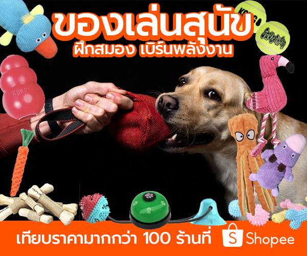 Dog Toy on Shopee