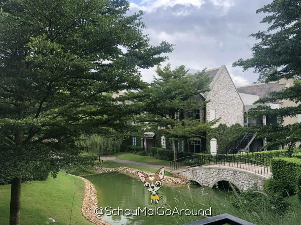 รีวิวที่พักสุนัขเข้าได Thames Valley เขาใหญ่ อากาศดี สวยเหมือนหลุดไปยุโรป 1 รีวิวที่พักสุนัขเข้าได Thames Valley เขาใหญ่ อากาศดี สวยเหมือนหลุดไปยุโรป 1