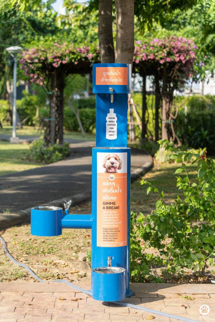 10 ข้อดีของ BMA DOG PARK สวนวัชราภิรมย์ สวนหมาเข้าฟรี ดีเรายกให้ดีที่สุดของกทม. ปี 2022 28 10 ข้อดีของ BMA DOG PARK สวนวัชราภิรมย์ สวนหมาเข้าฟรี ดีเรายกให้ดีที่สุดของกทม. ปี 2022 23