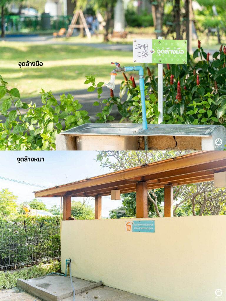 10 ข้อดีของ BMA DOG PARK สวนวัชราภิรมย์ สวนหมาเข้าฟรี ดีเรายกให้ดีที่สุดของกทม. ปี 2022 31 10 ข้อดีของ BMA DOG PARK สวนวัชราภิรมย์ สวนหมาเข้าฟรี ดีเรายกให้ดีที่สุดของกทม. ปี 2022 25