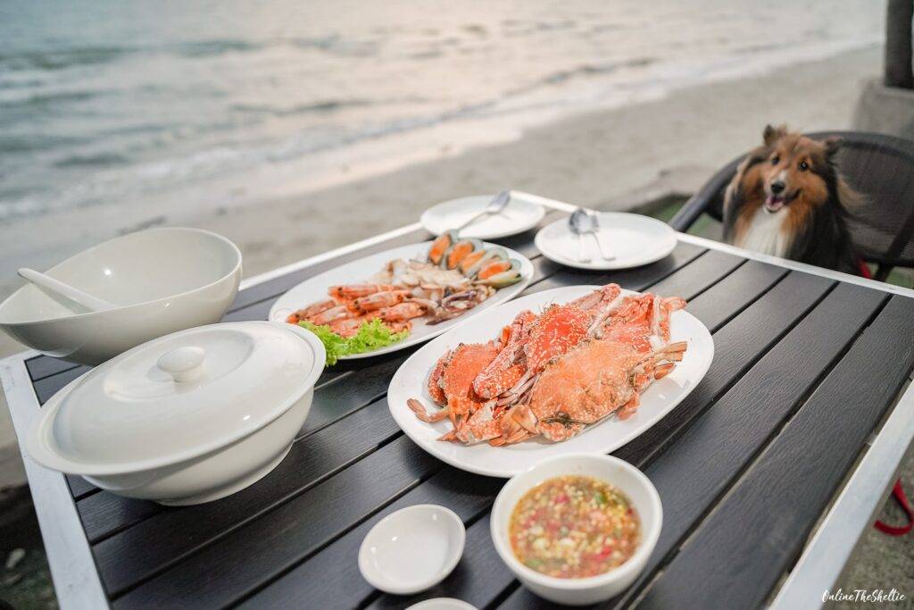 18 ไอเดีย Pet-First Design เมื่อเขาเป็นคนในครอบครัวมากกว่าสัตว์เลี้ยง การออกแบบจึงไม่หยุดแค่ Pet-Friendly 19 18 ไอเดีย Pet-First Design เมื่อเขาเป็นคนในครอบครัวมากกว่าสัตว์เลี้ยง การออกแบบจึงไม่หยุดแค่ Pet-Friendly 19