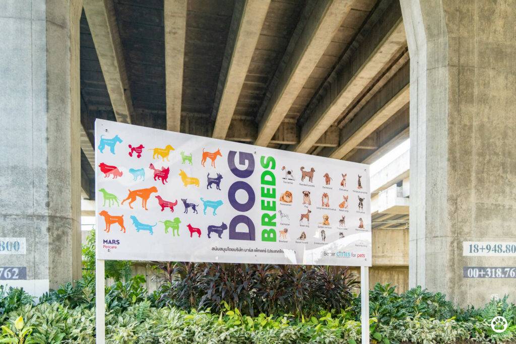 10 ข้อดีของ BMA DOG PARK สวนวัชราภิรมย์ สวนหมาเข้าฟรี ดีเรายกให้ดีที่สุดของกทม. ปี 2022 41 10 ข้อดีของ BMA DOG PARK สวนวัชราภิรมย์ สวนหมาเข้าฟรี ดีเรายกให้ดีที่สุดของกทม. ปี 2022 35