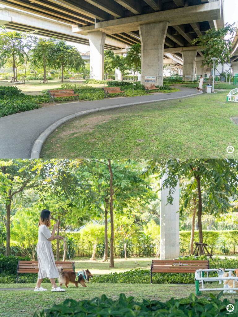 10 ข้อดีของ BMA DOG PARK สวนวัชราภิรมย์ สวนหมาเข้าฟรี ดีเรายกให้ดีที่สุดของกทม. ปี 2022 35 10 ข้อดีของ BMA DOG PARK สวนวัชราภิรมย์ สวนหมาเข้าฟรี ดีเรายกให้ดีที่สุดของกทม. ปี 2022 29