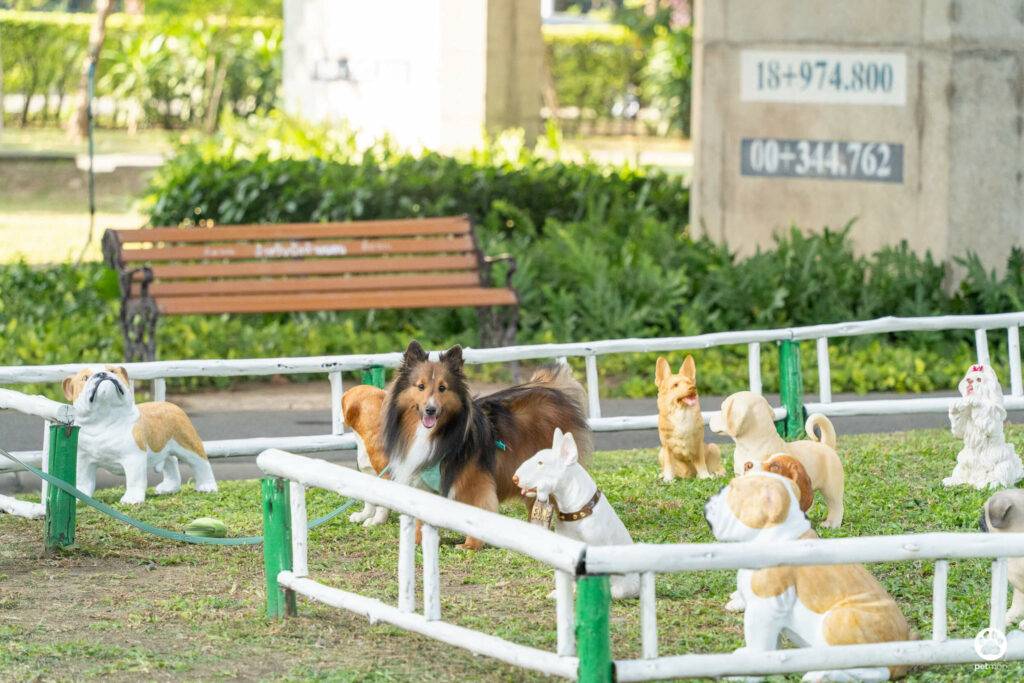 10 ข้อดีของ BMA DOG PARK สวนวัชราภิรมย์ สวนหมาเข้าฟรี ดีเรายกให้ดีที่สุดของกทม. ปี 2022 34 10 ข้อดีของ BMA DOG PARK สวนวัชราภิรมย์ สวนหมาเข้าฟรี ดีเรายกให้ดีที่สุดของกทม. ปี 2022 28