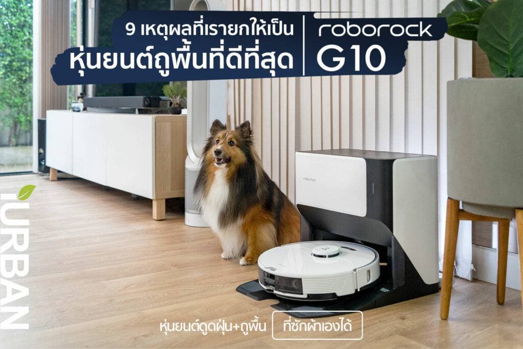 18 ไอเดีย Pet-First Design เมื่อเขาเป็นคนในครอบครัวมากกว่าสัตว์เลี้ยง การออกแบบจึงไม่หยุดแค่ Pet-Friendly 24 18 ไอเดีย Pet-First Design เมื่อเขาเป็นคนในครอบครัวมากกว่าสัตว์เลี้ยง การออกแบบจึงไม่หยุดแค่ Pet-Friendly 24