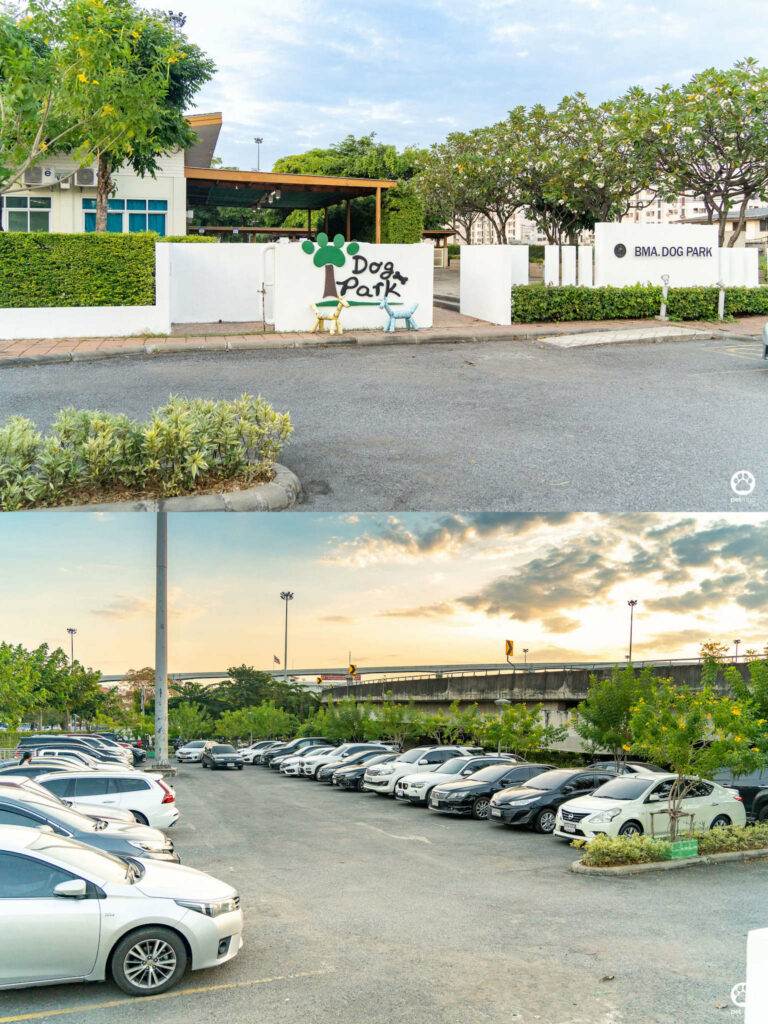 10 ข้อดีของ BMA DOG PARK สวนวัชราภิรมย์ สวนหมาเข้าฟรี ดีเรายกให้ดีที่สุดของกทม. ปี 2022 40 10 ข้อดีของ BMA DOG PARK สวนวัชราภิรมย์ สวนหมาเข้าฟรี ดีเรายกให้ดีที่สุดของกทม. ปี 2022 34
