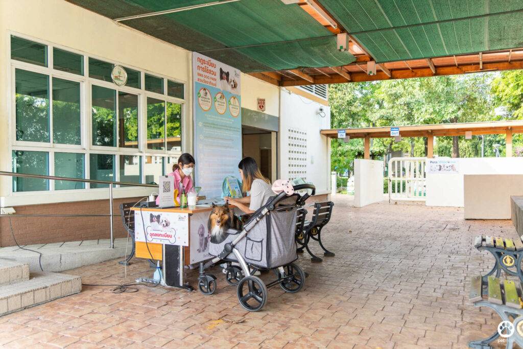 10 ข้อดีของ BMA DOG PARK สวนวัชราภิรมย์ สวนหมาเข้าฟรี ดีเรายกให้ดีที่สุดของกทม. ปี 2022 32 10 ข้อดีของ BMA DOG PARK สวนวัชราภิรมย์ สวนหมาเข้าฟรี ดีเรายกให้ดีที่สุดของกทม. ปี 2022 26