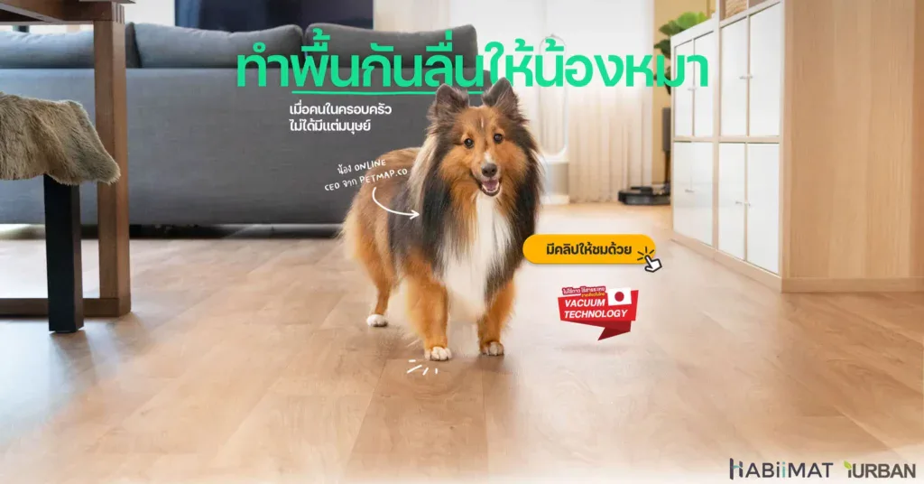 18 ไอเดีย Pet-First Design เมื่อเขาเป็นคนในครอบครัวมากกว่าสัตว์เลี้ยง การออกแบบจึงไม่หยุดแค่ Pet-Friendly 23 18 ไอเดีย Pet-First Design เมื่อเขาเป็นคนในครอบครัวมากกว่าสัตว์เลี้ยง การออกแบบจึงไม่หยุดแค่ Pet-Friendly 23