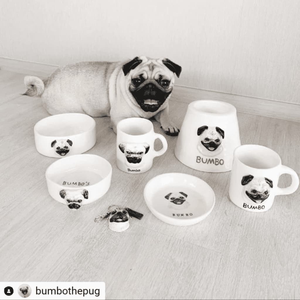 Petmap Art and Craft EP.1 - Mr.H Studio ร้านปั้นเซรามิกสัตว์เลี้ยง 7 Petmap Art and Craft EP.1 - Mr.H Studio ร้านปั้นเซรามิกสัตว์เลี้ยง 6